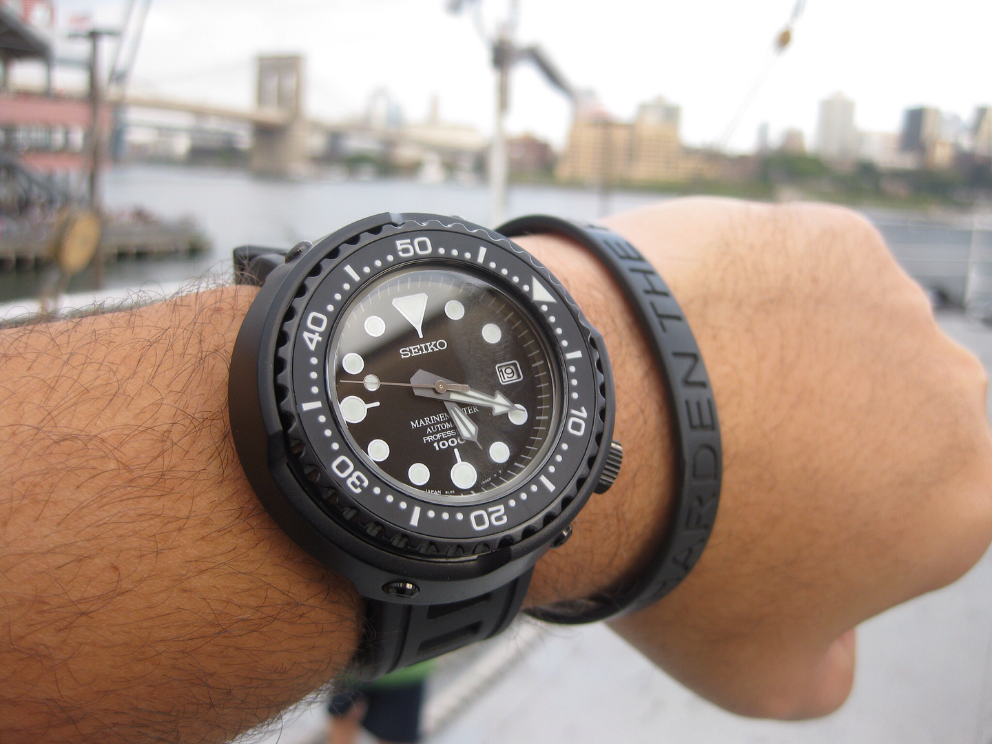 citizen promaster vs seiko prospex